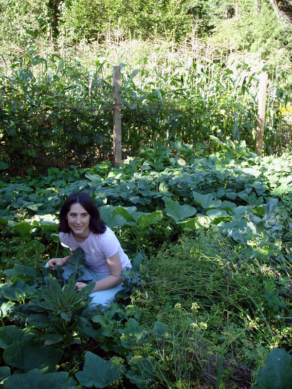 Jenkins garden.