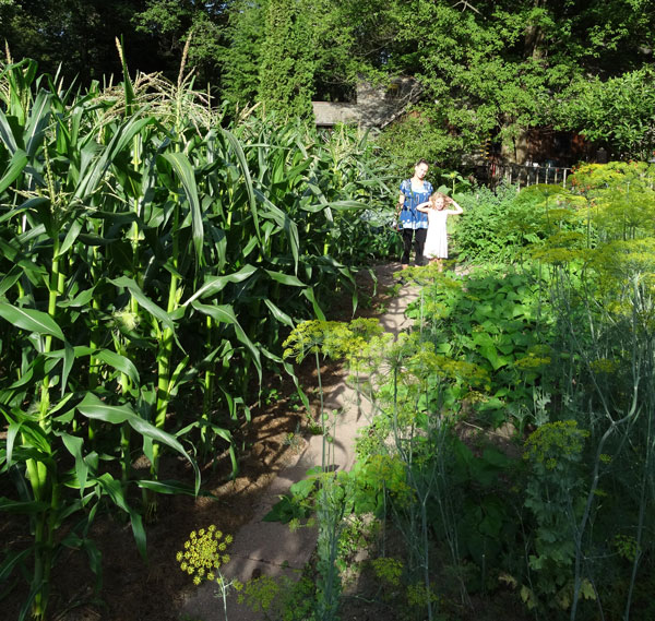 Joe Jenkins garden.